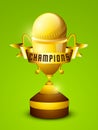 Golden winning cup for Cricket match. Royalty Free Stock Photo