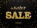 Golden winter sale sign. Vector golden winter sale words on dark snowing background. Royalty Free Stock Photo
