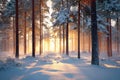 Winter Forest Dawn Royalty Free Stock Photo