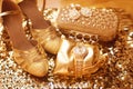 Golden. Women clothes and accessories. Luxury jewelry. Fashion d