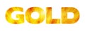 Word `Gold` on a white. Vector graphics Royalty Free Stock Photo