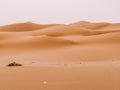 Golden Xinjiang Desert from China