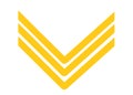 A golden yellow army police Sergeant rank insignia white backdrop