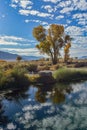 Golden yellow autumn color leaves on trees reflected in pond water Royalty Free Stock Photo