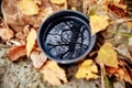 Golden yellow Autumn forest reflected in a Cup of tea. Mug of ho