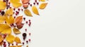 Golden yellow autumn leaves, red berries and chestnuts, top view, beautiful autumn leaves as a frame on white backdrop autumn