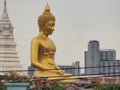 Golden yellow Buddha, gray sky, turquoise silver, white gray, green leaves and white light.