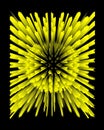 exploding yellow spherical geometric shaped design in 3D