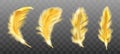 Golden yellow fluffy feather vector realistic