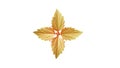 Golden yellow leaves together Isolated on a white background for designs or other illustrations with clipping path