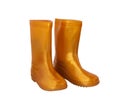 Golden-yellow rain boots on white background. Royalty Free Stock Photo