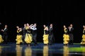 Golden yellow skirt-The French Cancan-the Austria's world Dance
