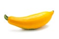 Golden yellow zucchini isolated on the white background Royalty Free Stock Photo