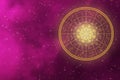 Golden zodiac signs in horoscope wheel in the galaxy Royalty Free Stock Photo