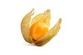 Goldenberry, Physalis peruviana ripe fruit, single smooth berry with dry leaves isolated on a white background