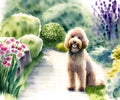 Goldendoodle Dog, Generative AI Illustration