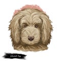Goldendoodle Puppy digital art illustration isolated on white