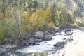 Goldenfall colors along  the Wenatchee River Royalty Free Stock Photo