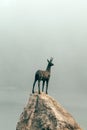 Goldenhorn (Zlatorog) statue near the Lake Bohinj is a reference to a popular Slovenian