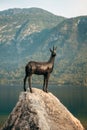 Goldenhorn (Zlatorog) statue near the Lake Bohinj is a reference to a popular Slovenian