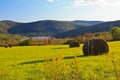 Goldenrod Hayfield