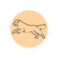 Golder retriever jumping color line icon. Pictogram for web page