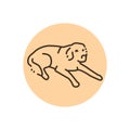 Golder retriever on a leash color line icon. Pictogram for web page