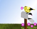 Goldfinch and Open Mailbox