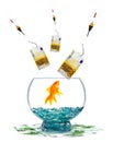 Goldfish Royalty Free Stock Photo