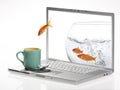 Goldfish Royalty Free Stock Photo