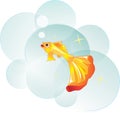 Goldfish as a symbol of desire