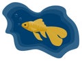 Goldfish on a blue background. Royalty Free Stock Photo