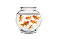 Goldfish Bowl