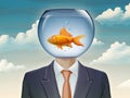 Goldfish and businessman