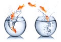 Goldfish - change concept