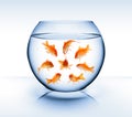 Goldfish - diversity concept, bullying and isolation