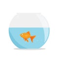 Goldfish in fishbowl isolated on whute background. Fish in round aquarium.