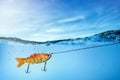 goldfish fishing lure underwater on blue sky background Royalty Free Stock Photo