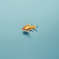 Minimalist Photography: The Portrait Of A Cute Goldfish In Blue