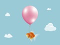 Goldfish fly with balloon . Mixed media, Gold fish floating with balloon on blue sky with cloud background