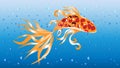 Goldfish fulfills any desire. Golden dragon fish swims in the heavenly water of prosperity