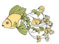 Goldfish with ginkgo leaves tail