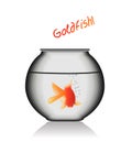Goldfish in a glass bowl