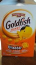 Goldfish