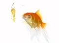 Goldfish and jewel Royalty Free Stock Photo