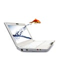 Goldfish jump Royalty Free Stock Photo