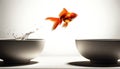 Goldfish Jumping Between Bowls, Freedom Concept Royalty Free Stock Photo