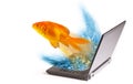 Goldfish jumping from laptop Royalty Free Stock Photo