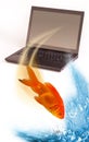 Goldfish jumping out Royalty Free Stock Photo