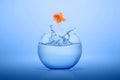 Goldfish jumping out from fishbowl Royalty Free Stock Photo